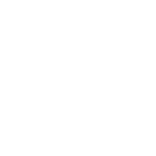 Tecnologie e Sistemi Integrati per la Sicurezza